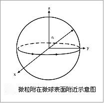 微球传感器示意图 微球传感器示意图
